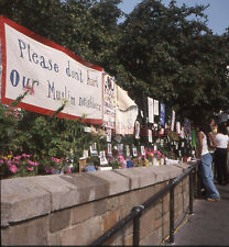 post 9/11 DON'T HURT MUSLIMS Downtown New York Original stereo slide