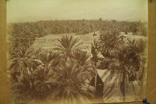 antique old PHOTO LEROUX  Arab Muslim AFRICA Ensemble Oasis ALGERIA 1890s