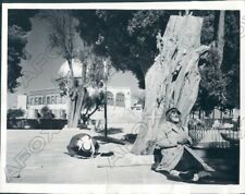 1969 Jerusalem Muslim Man Says Prayers On The Temple Mount Press Photo