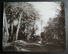 rare antique old PHOTO LEROUX OASIS CHILDREN MUSLIM AFRICA BISKRA ALGERIA ALGER