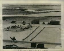 1940 Press Photo Moslem employees and their camels at the Suez Canal edges