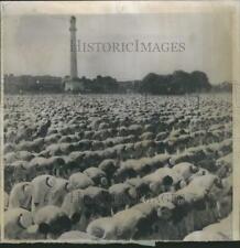 1958 Press Photo Muslim Prayer in Calcutta Maidan