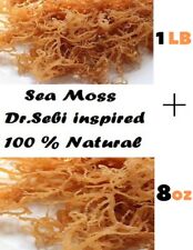 Whole Leaf Irish Moss Sea Moss  Raw WildCrafted Superfood-1.5 lbs (24 oz)