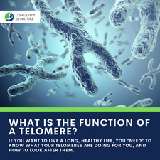 Telomere DNA Protects Chromosomes-Lengthen your Telomeres in Just 6 Months- 